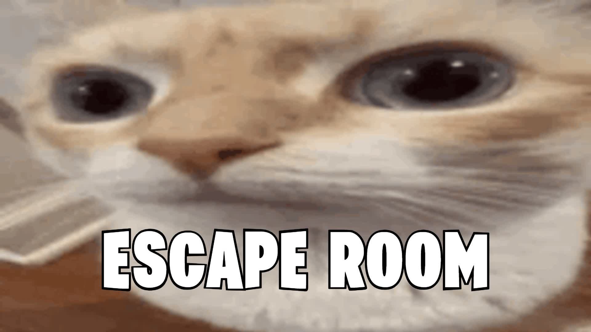 👑50+ Summer ESCAPE ROOM👑