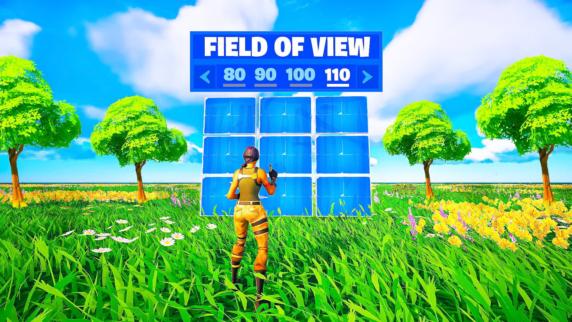 FOV SLIDER 1V1 0368 8691 4307