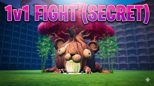 1v1 fight (secret)