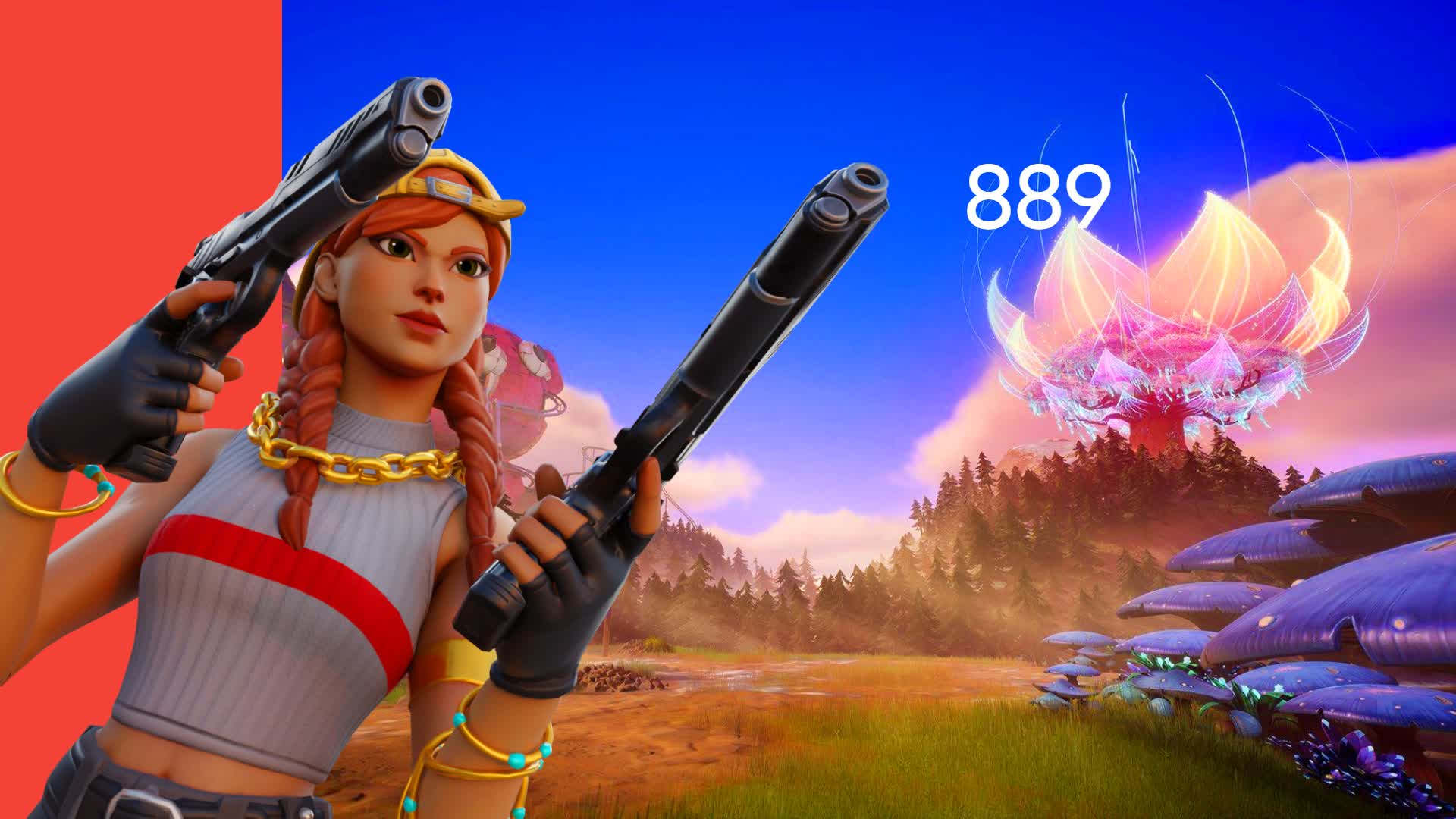 box fignt pvp 889