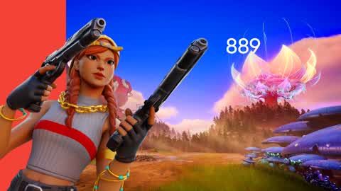box fignt pvp 889
