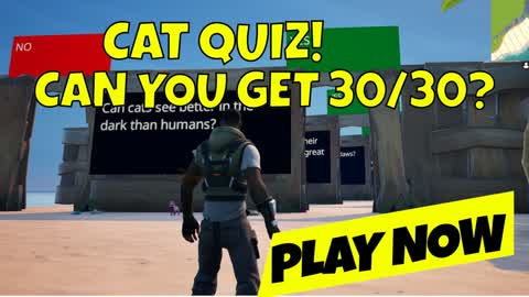 Cat Quiz – Think You Know It All?
