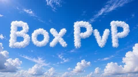 Box Fights PvP