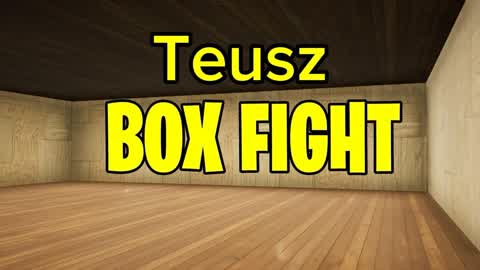 Teusz box fight