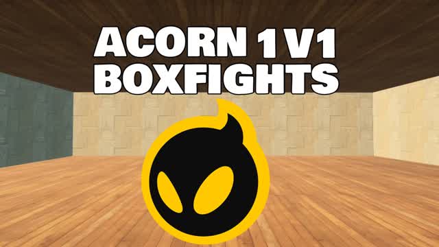 ACORN 1V1 BOXFIGHTS
