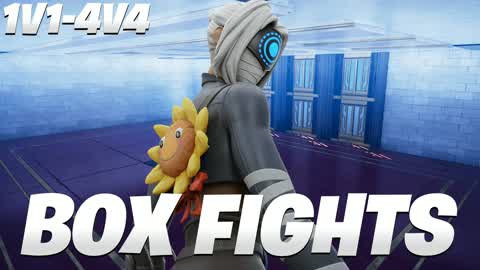 BOX FIGHTS (1V1 To 4V4)