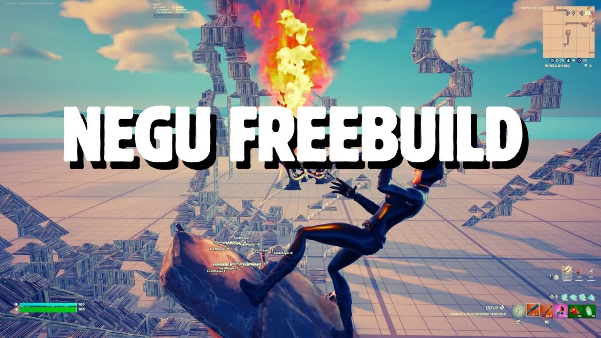 NEGU FREEBUILD