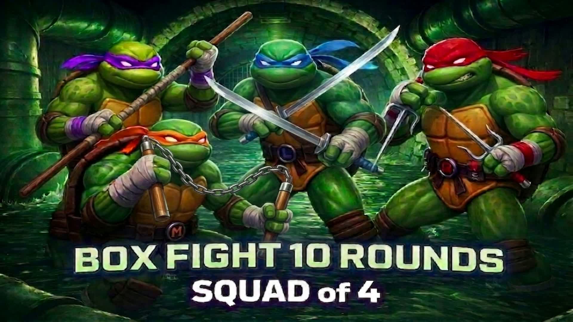 [ TMNT ] タートルズ ボックスファイト
