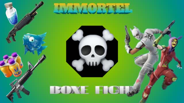 immortel.Box fight