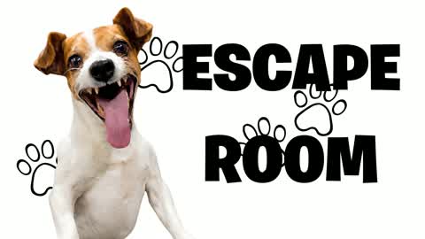 Escape Room BRAINROT