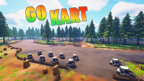 Go Karts Race