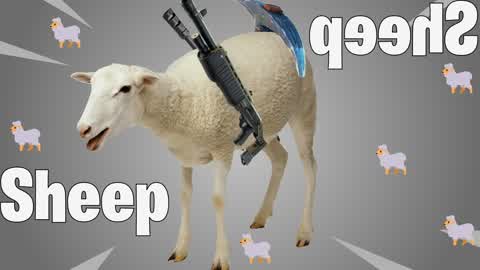 Sheep