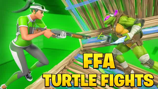 FFA Turtle fights 📦