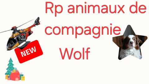 rp animaux de compagnie wolf