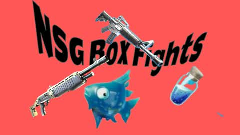 NSG box fights