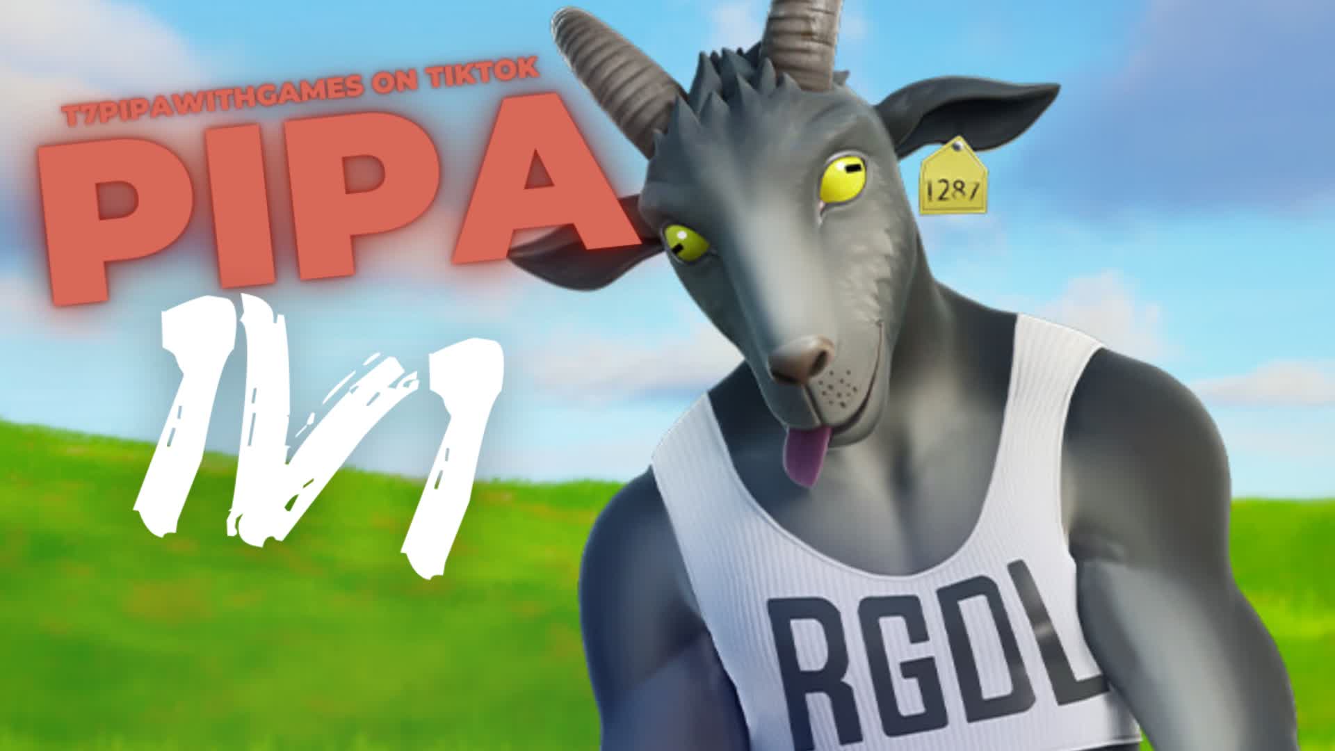 PIPA 1V1 2.0
