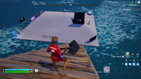 Island image
