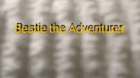 Bestie the Adventurer: Castle - Ch. 1