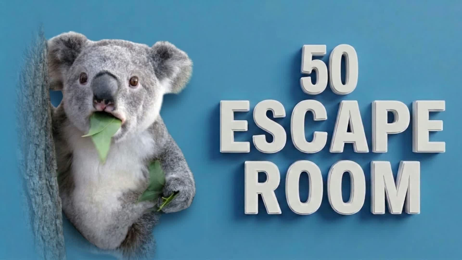 50 SMART ESCAPE ROOM