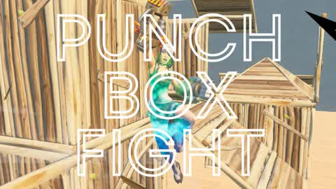 PUNCH BOXFIGHT