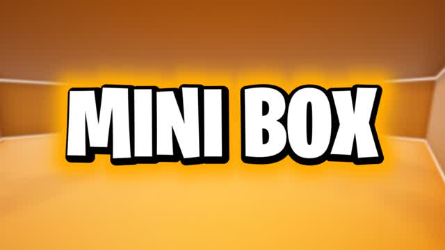 MINI BOX EVERY GUN