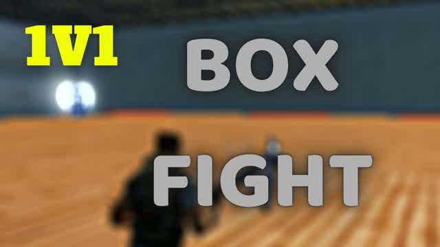 BOX FIGHT 1V1