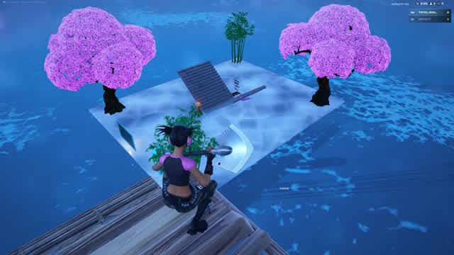 Capture 1 – Ew 1v1 map (207 pump)