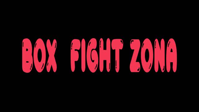 FIGHT ZONA