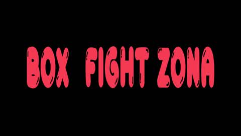 FIGHT ZONA