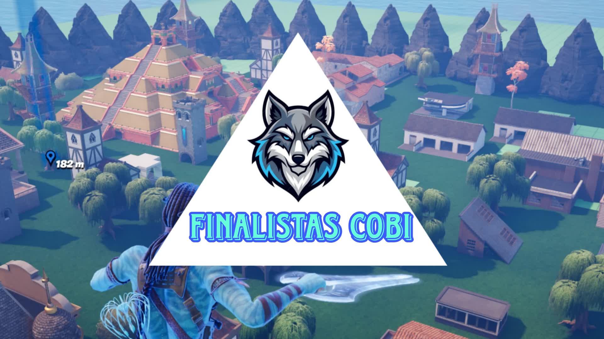 Finalistas cobi