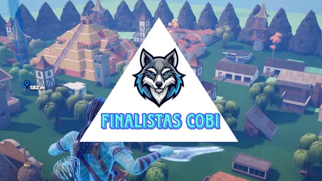 Finalistas cobi