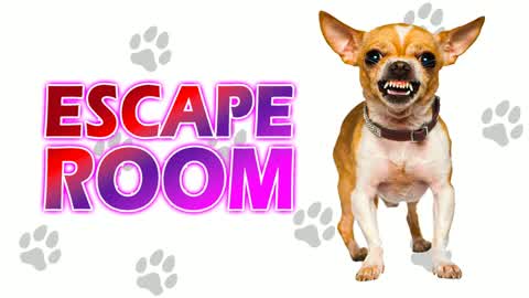 ๐ Angry Dog IQ Escape Room ๐