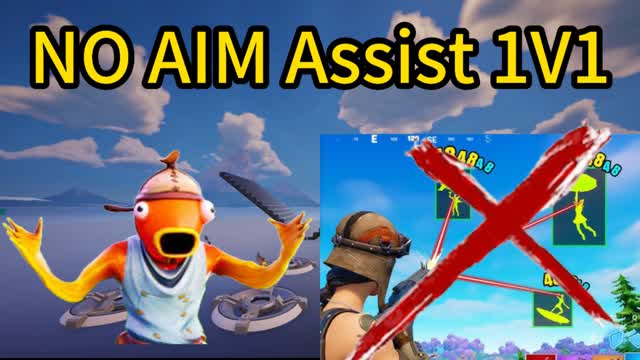 NO Aim Asisst 1v1