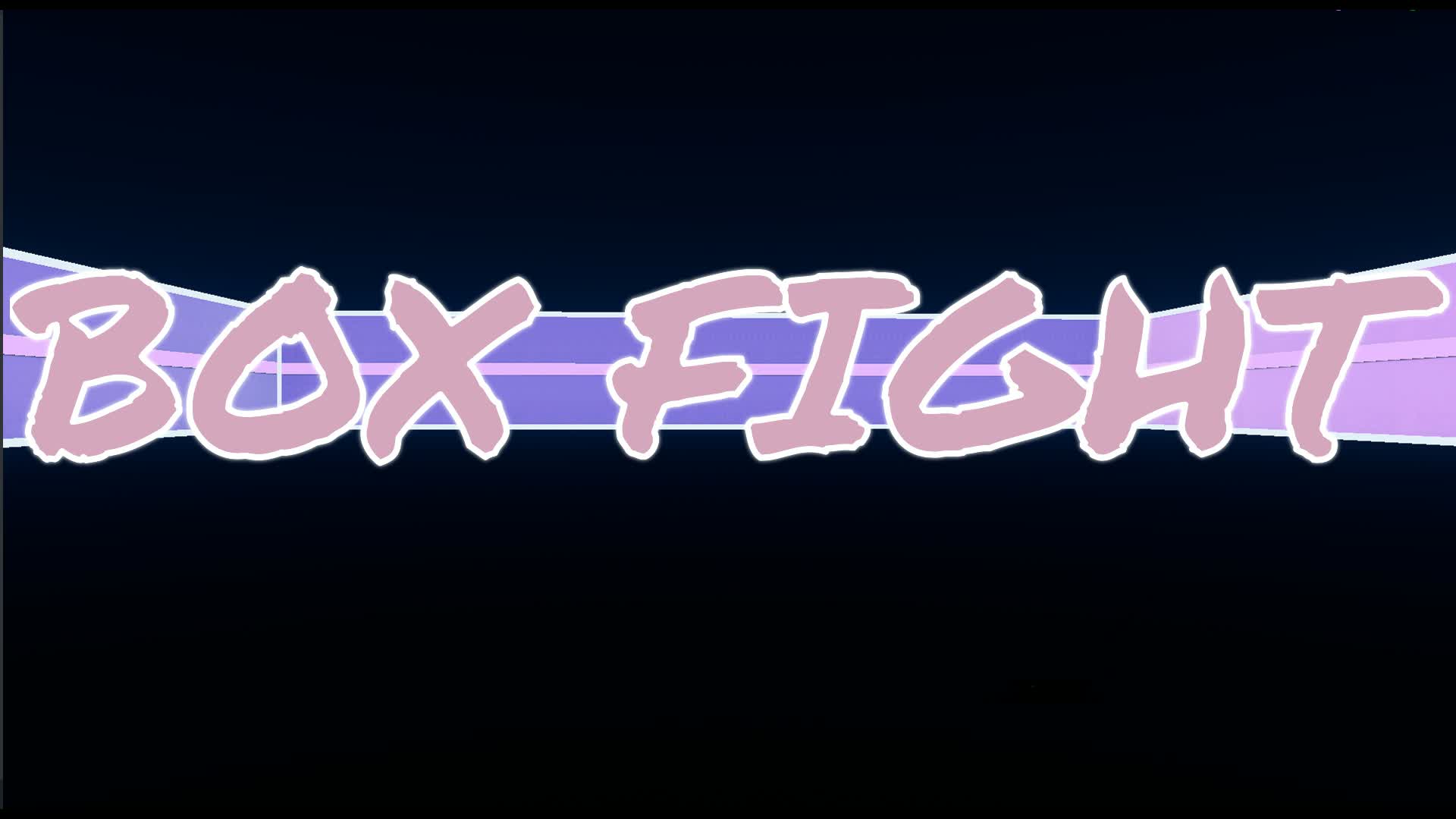 ボックスファイト