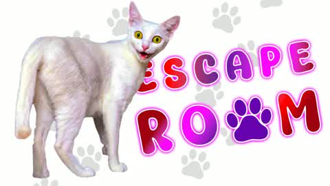 💡 Funny Cat Escape Room | by GT 💡