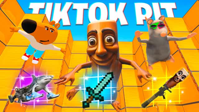 TIKTOK PIT