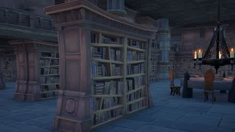 The Secret of the Puzzle Library