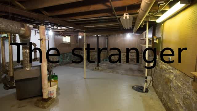 THE STRANGER