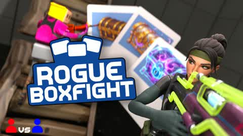 Rogue Box Fight
