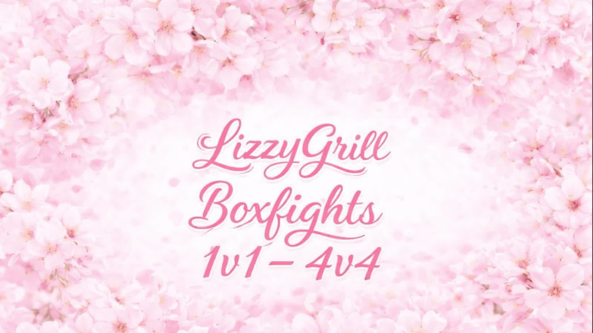 Lizzygrill Boxfights (1v1-4v4)