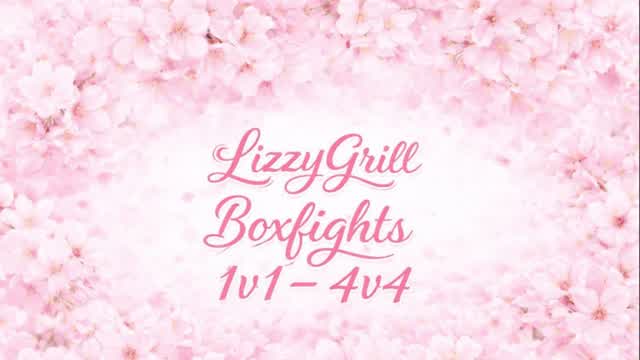 Lizzygrill Boxfights (1v1-4v4)