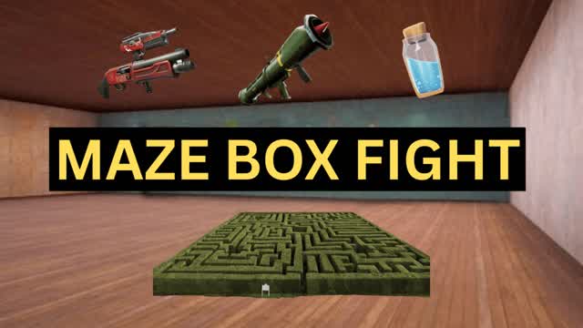 Maze Box Fight