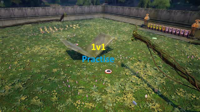 1V1 Jungle Practise Build Fight