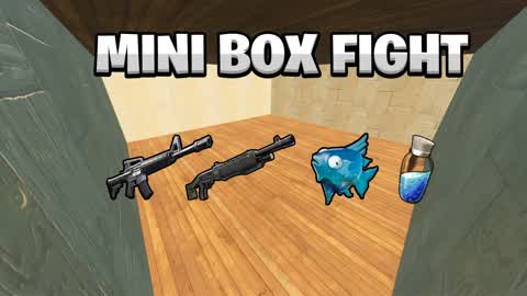 MINI BOX FIGHT