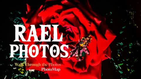 REAL PHOTOS | Walk Through the Photos