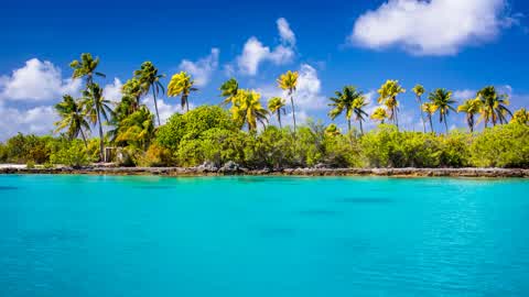 island exploration