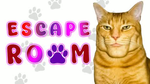 💡 Brutal Cat Escape Rooms | by GT 💡