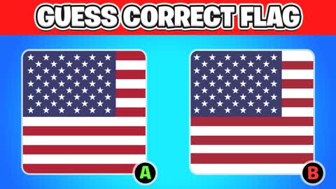 GUESS THE FLAG💂
