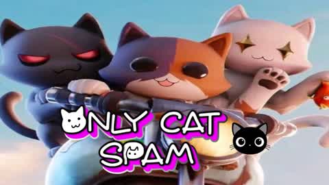ONLY CAT SPAMER