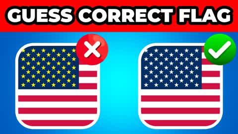 GUESS THE FLAG 🚩 - IQ TEST MINIGAME 🎮